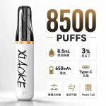 XIAOKE梟客口紅款一次性電子煙8500口